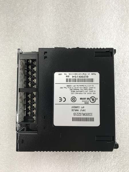 IC693ALG221