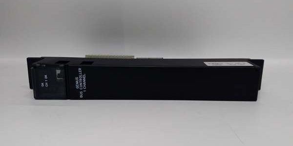 IC697BEM731Z (4)