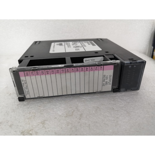 IC693MDL340.2020.04.07. (9) GE IC693MDL340
