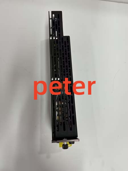 Triconex 8305A (6)