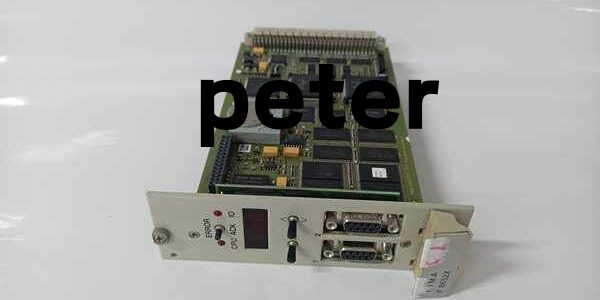 HIMA F8652X 984865265 (1) HIMA F8652X