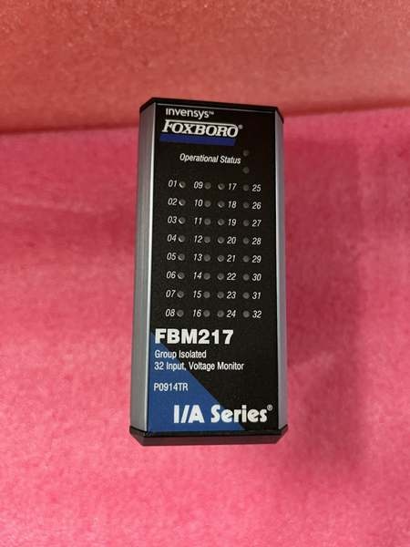 Foxboro FBM217