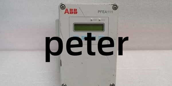 ABB PFEA111-65 3BSE028140R0065 (2) PFEA111-65