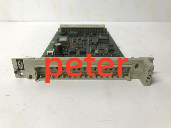 HIMA F6217 984621702(3) HIMA F6217