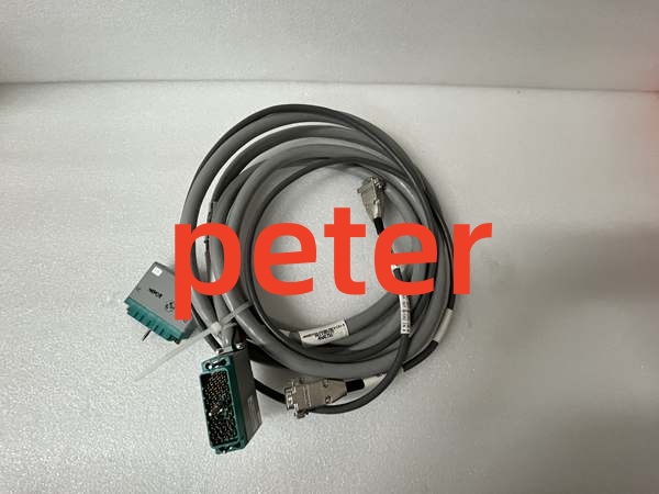 TRICONEX 4000103-510N (2) Triconex 4000103-510