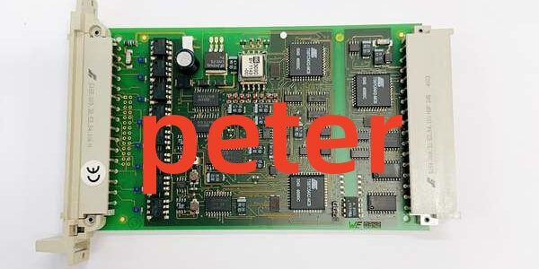 HIMA F6217 984621702 (2) HIMA F6217