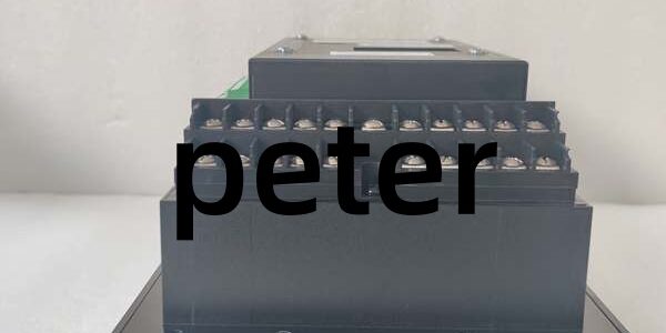GE 369-HI-R-M-0-0-0-E GE 369-HI-R-M-0-0-0-E