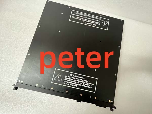 TRICONEX 3008N (1) Triconex 3008N