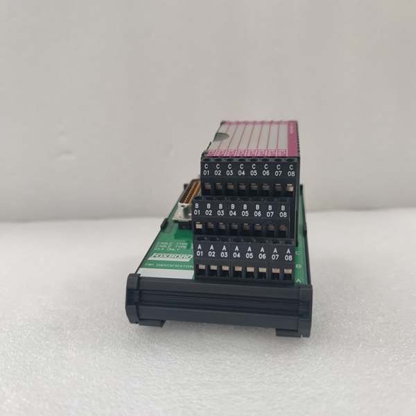 P0916CC.刘锦玉.20241024 (4)