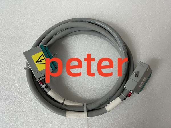 TRICONEX 4000093-110N (4) Triconex 4000093-110N