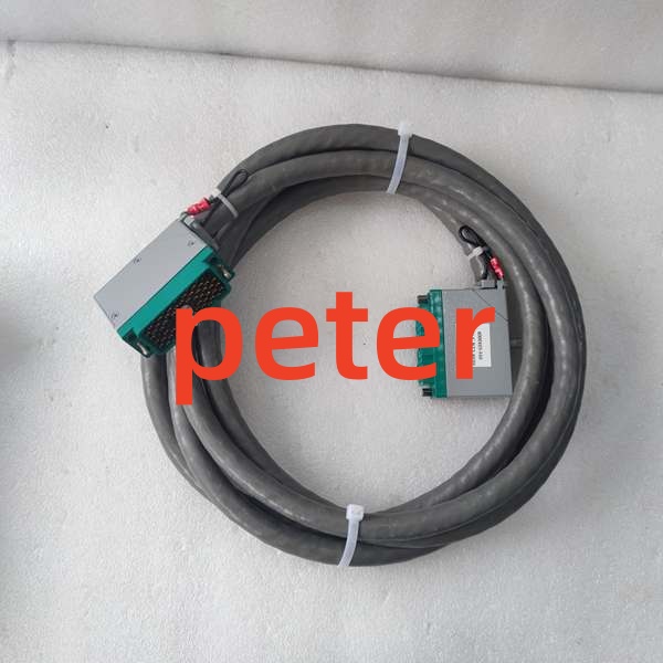 Triconex 4000093-310 Triconex 4000093-310