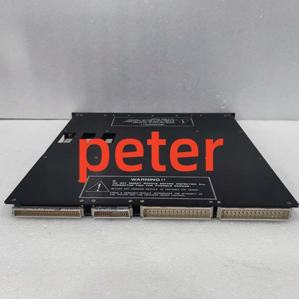 Triconex 3501E Triconex 3501E