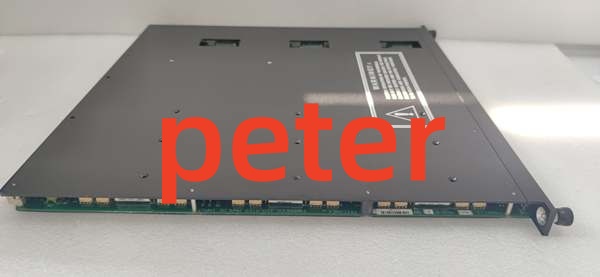 Triconex 3703E