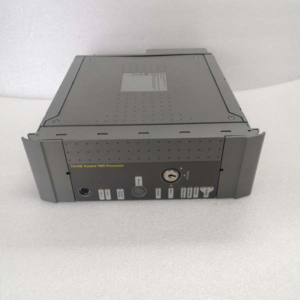 ICS TRIPLEX T8110B