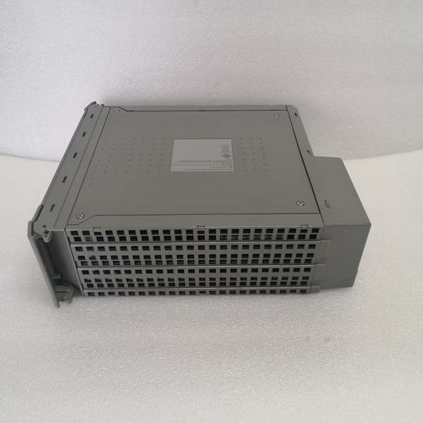 ICS TRIPLEX T8110B