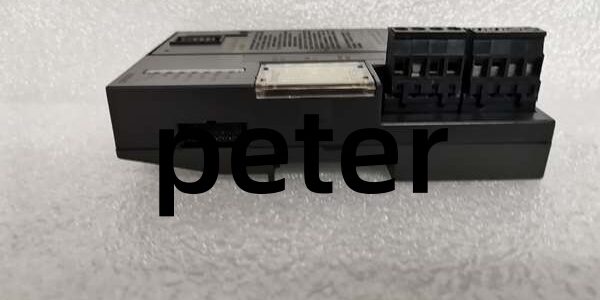 GE IC200GBI001 GE IC200GBI001