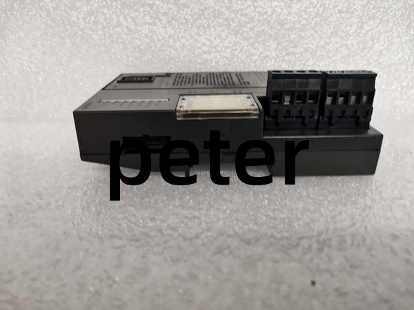 GE IC200GBI001 GE IC200GBI001