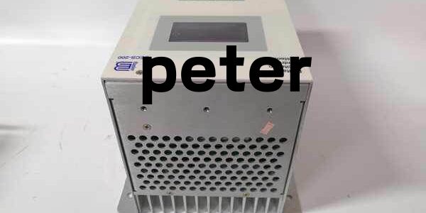 BASLER ELECTRIC DECS-200-2L(3)