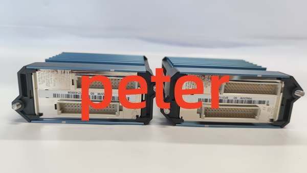 FOXBORO FBM218