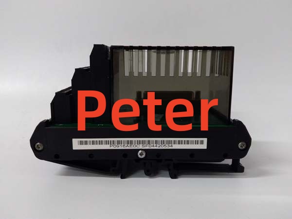FOXBORO P0916AG