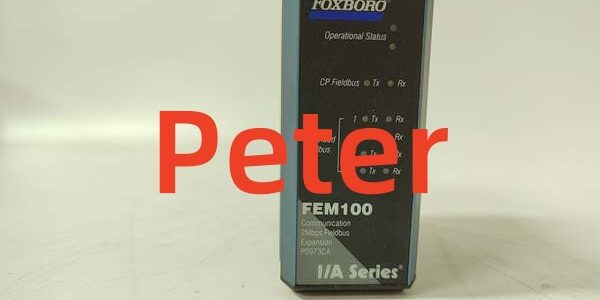 FOXBORO FEM100 P0973CA 1 FOXBORO FEM100