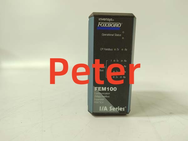 FOXBORO FEM100