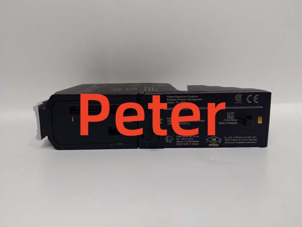 SE4006P2