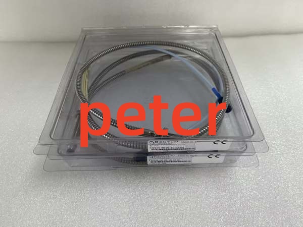 BENTLY 330104-00-06-10-02-00