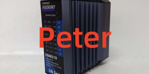 FBM219 P0916RH (3) FOXBORO P0916RH