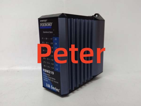 FBM219 P0916RH (3) FOXBORO P0916RH