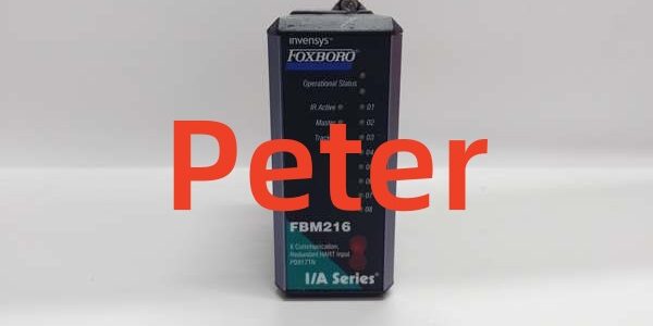 FOXBORO FBM216