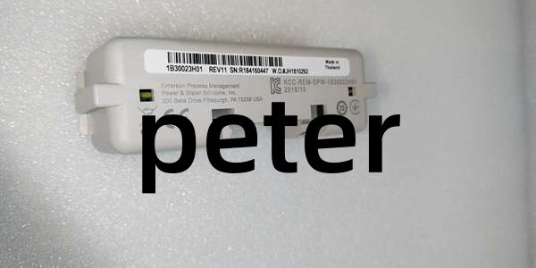 EMERSON 1B30023H01 EMERSON 1B30023H01