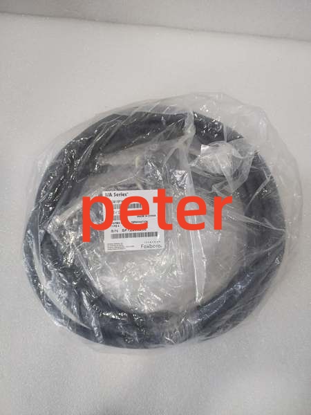 FOXBORO P0916FK