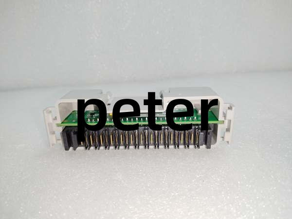 EMERSON 1B30023H02