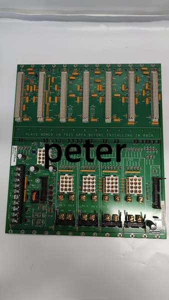 GE DS200VPBLG2A