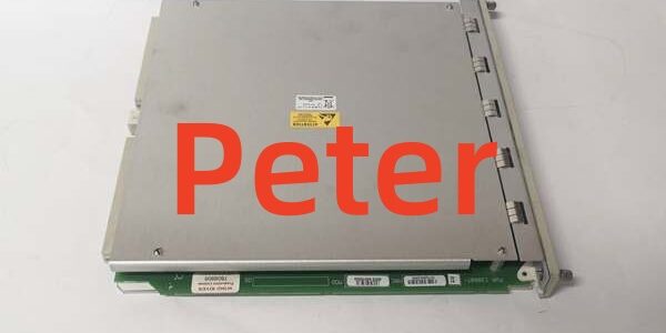 BENTLY 350022M 138607-01 (2) BENTLY 3500/22M 138607-01