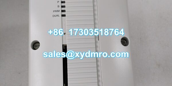 PM862K01.罗周汉.20240606 (7)